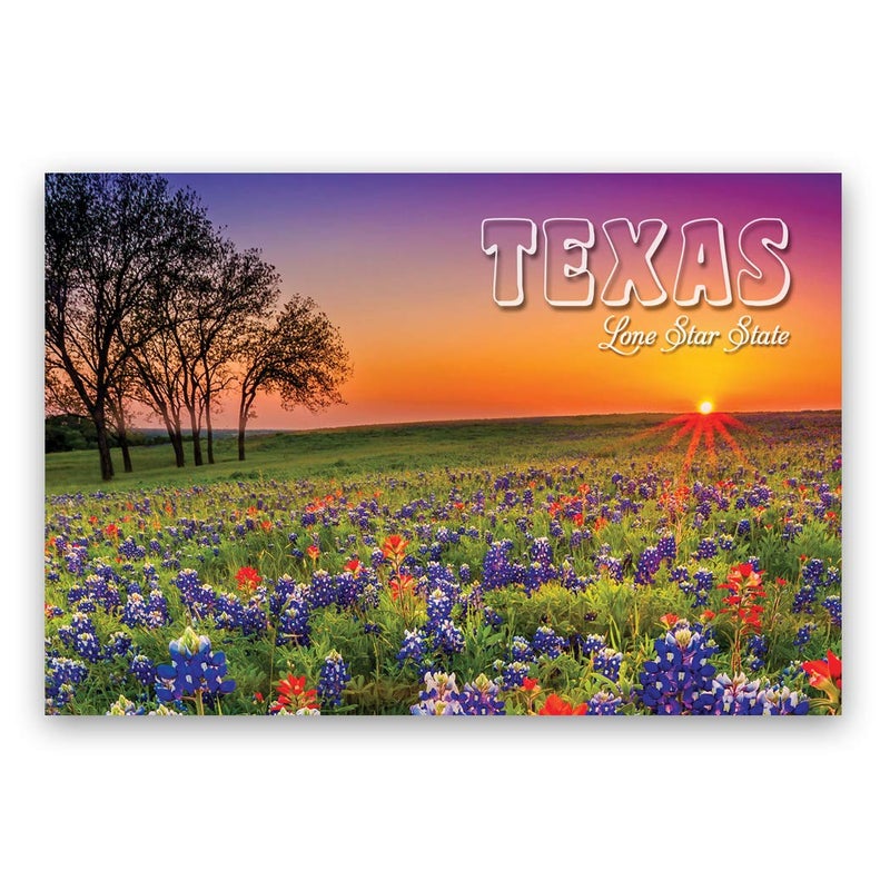 Postcard Fair TEXAS postcard set of 20 postcards. TX post card variety pack containing 20 different post cards. Made in USA. - Image 5